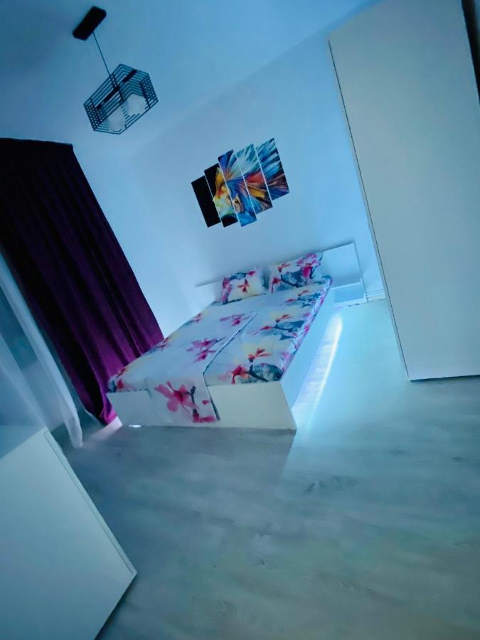 Antonia'S Apartment كونستانتا المظهر الخارجي الصورة
